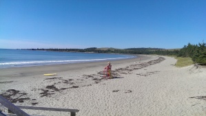 Lone Lifeguard on Rissers Beach