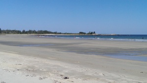 Beach Meadows Beach